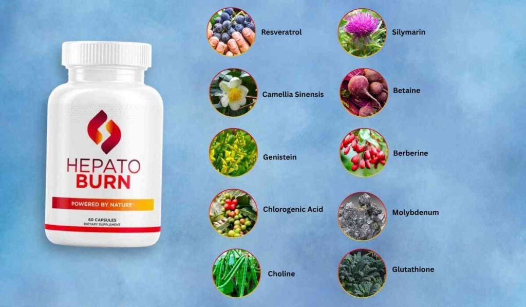 hepatoburn-ingredients